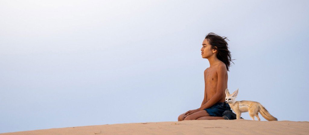 actualité L'ENFANT DU DESERT